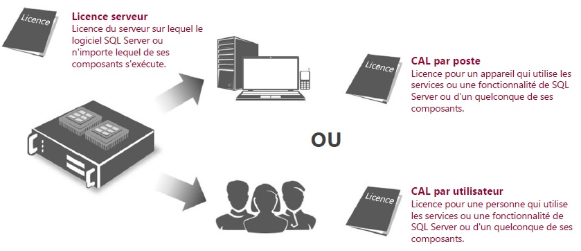 Licences d'Accès Client (CAL).